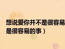 想说爱你并不是很容易的事歌词是什么意思（想说爱你并不是很容易的事）