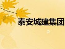 泰安城建集团领导名单（泰安城建）