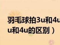 羽毛球拍3u和4u的区别是什么?（羽毛球拍3u和4u的区别）