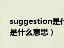 suggestion是什么意思单词（suggestion是什么意思）