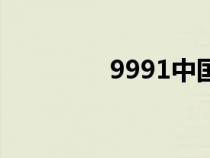 9991中国网址大全全导航