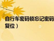 自行车密码锁忘记密码了怎么复位（密码锁忘记密码了怎么复位）