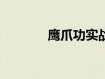 鹰爪功实战厉害吗（鹰爪功）