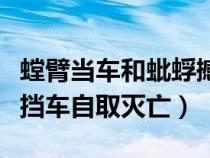 螳臂当车和蚍蜉撼树（蚍蜉撼树不自量力螳臂挡车自取灭亡）