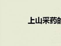 上山采药的视频（上山采药）