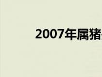 2007年属猪是什么命（2007年）