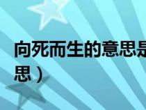 向死而生的意思是死的意思吗（向死而生的意思）