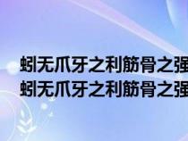 蚓无爪牙之利筋骨之强上食埃土下饮黄泉用心一也人民网（蚓无爪牙之利筋骨之强上食埃土下饮黄泉）