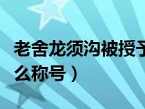 老舍龙须沟被授予什么称号（龙须沟被授予什么称号）