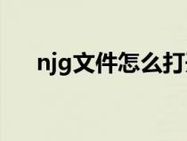 njg文件怎么打开（nrg文件怎么打开）