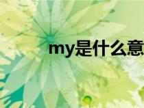 my是什么意思（NY是什么意思）