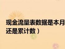 现金流量表数据是本月数还是累计数（现金流量表是当月数还是累计数）