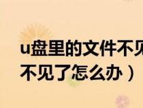 u盘里的文件不见了怎么找回（u盘里的文件不见了怎么办）