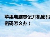 苹果电脑忘记开机密码怎么办简单方法（苹果电脑忘记开机密码怎么办）