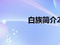 白族简介200字（白族简介）