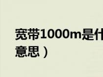 宽带1000m是什么意思（宽带100m是什么意思）