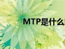 MTP是什么意思（mt什么意思）