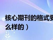 核心期刊的格式要求（一般核心期刊格式是什么样的）