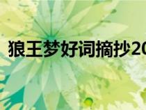 狼王梦好词摘抄200个（狼王梦好词100个）