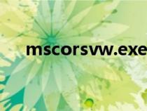 mscorsvw.exe占用cpu（mscorsvw）