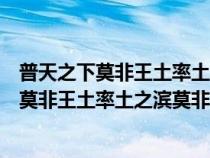 普天之下莫非王土率土之滨莫非王臣反映了什么（普天之下莫非王土率土之滨莫非王臣）