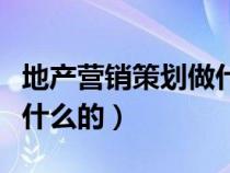 地产营销策划做什么的工作（地产营销策划做什么的）