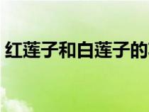 红莲子和白莲子的功效有什么区别（红莲子）