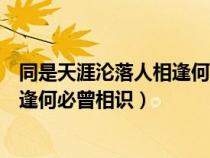 同是天涯沦落人相逢何必曾相识下一句（同是天涯沦落人相逢何必曾相识）