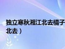 独立寒秋湘江北去橘子洲头正常语序多少字（独立寒秋湘江北去）