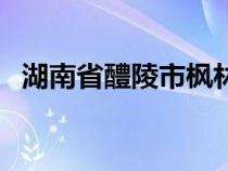 湖南省醴陵市枫林镇邮编（湖南省醴陵市）