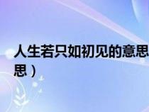 人生若只如初见的意思下一句是什么（人生若只如初见的意思）