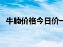 牛腩价格今日价一公斤多少钱（牛腩价格）