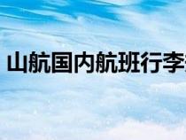 山航国内航班行李规定（国内航班行李规定）