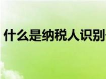 什么是纳税人识别号（纳税人识别号是税号）