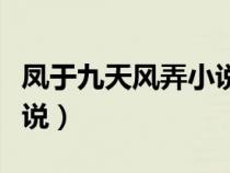 凤于九天风弄小说完结了吗（凤于九天风弄小说）