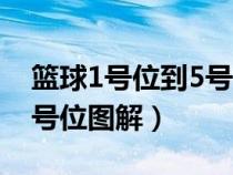 篮球1号位到5号位图解视频（篮球1号位到5号位图解）