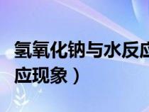 氢氧化钠与水反应会怎么样（氢氧化钠与水反应现象）