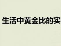 生活中黄金比的实例（生活中黄金比的例子）