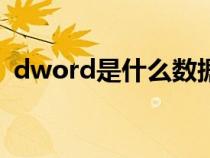 dword是什么数据格式（DWORD是什么）