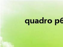 quadro p620显卡（quadro）