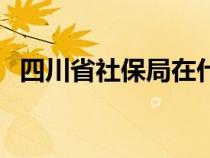 四川省社保局在什么位置（四川省社保局）