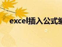 excel插入公式编辑器（excel插入公式）