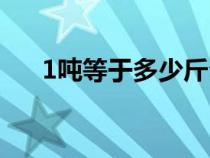 1吨等于多少斤公斤（1吨等于多少斤）