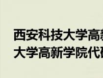 西安科技大学高新学院代码2024（西安科技大学高新学院代码）