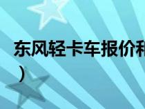 东风轻卡车报价和图片（东风轻卡报价及图片）