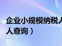 企业小规模纳税人查询系统（企业小规模纳税人查询）