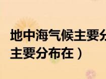 地中海气候主要分布在什么地区（地中海气候主要分布在）