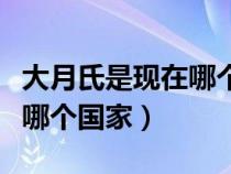 大月氏是现在哪个国家的地方（大月氏是现在哪个国家）