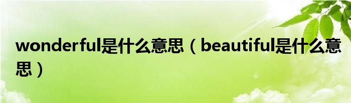 wonderful是什么意思（beautiful是什么意思）