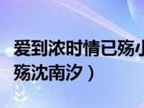 爱到浓时情已殇小说全文阅读（爱到浓时情已殇沈南汐）